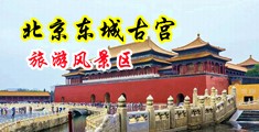 黑丝操出白浆中国北京-东城古宫旅游风景区